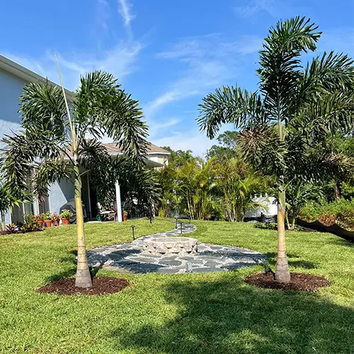 Finished Tampa Bay landscape with trimmed palms, lawn, mulch, and a stone feature