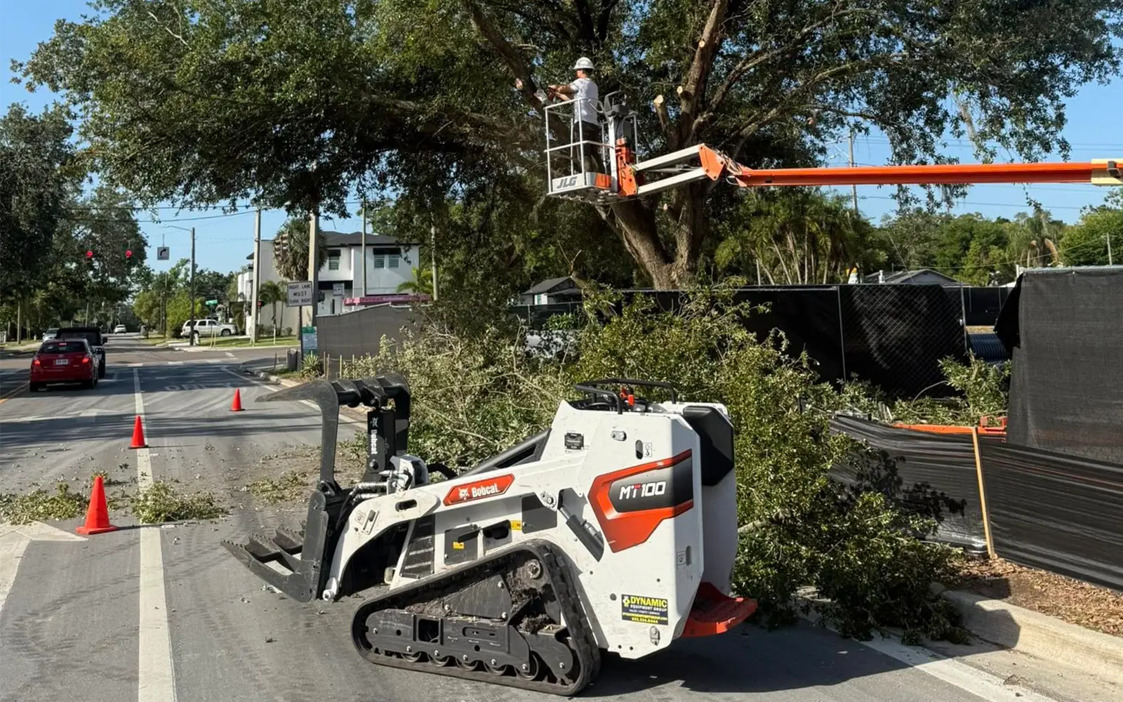 Tree service crew working in a mature Tampa Bay yard